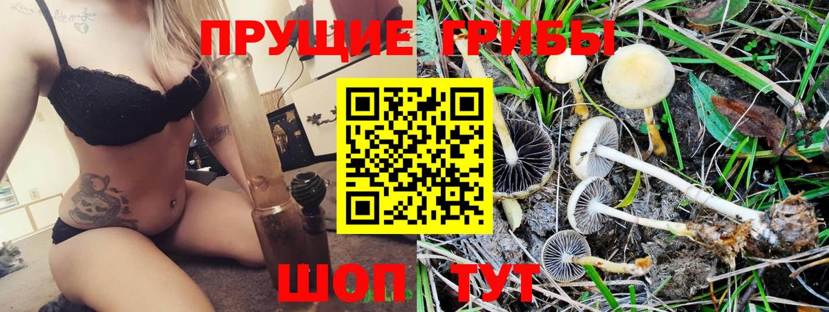 Галлюциногенные грибы Cubensis  Вход с VPN  Псилоцибиновые грибы Psilocybe  Сланцы 