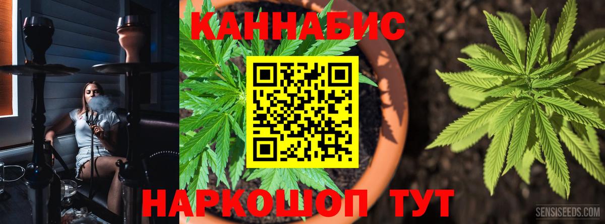 Сланцы  Конопля ГИДРОПОН  Шишки марихуана план  Вход с VPN  Шишки марихуана OG Kush 